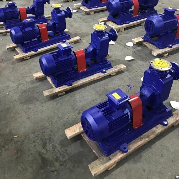 65ZW30-18自吸排污泵 无堵塞自吸泵 不阻塞 进口 