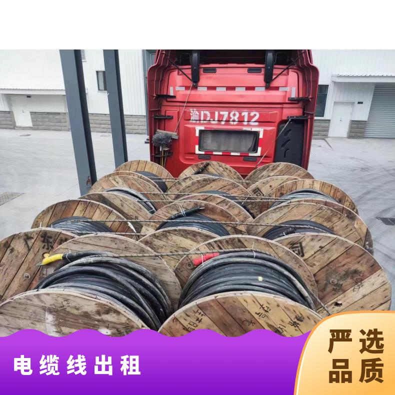 温 州电缆线出租 配电箱过线板租赁 单多芯线缆 展会演唱会美食节租用