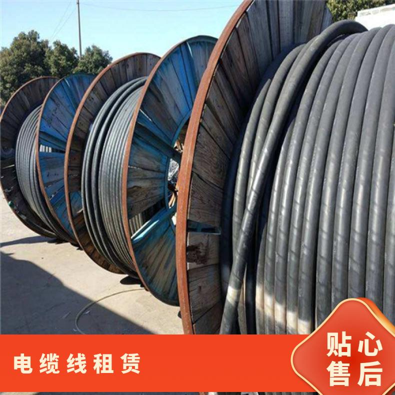湖 州电缆线出租 6-3002线缆租赁 展会音乐节活动保电 配电箱过线板