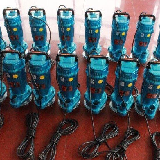 进口 QDX10-16-0.75 全自动带浮球潜水泵 单相家用污水提升泵 抽水泵
