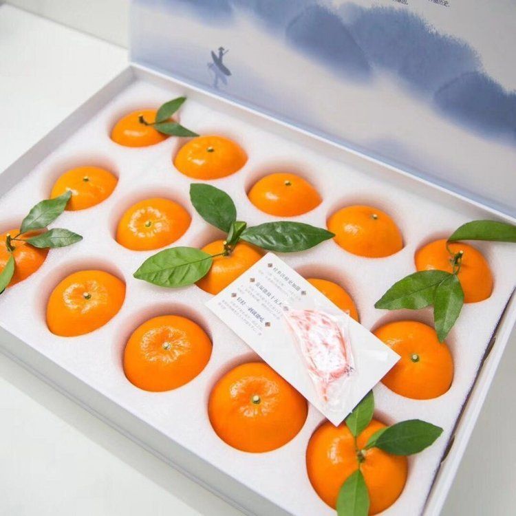 EPE白色珍珠棉水果内托 物流防撞纸箱海绵内衬泡沫棉生产厂家