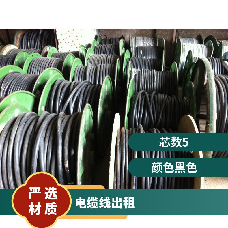 泰 安电缆线出租 租赁6-3002铜芯线缆 活动美食节演唱会临时租用