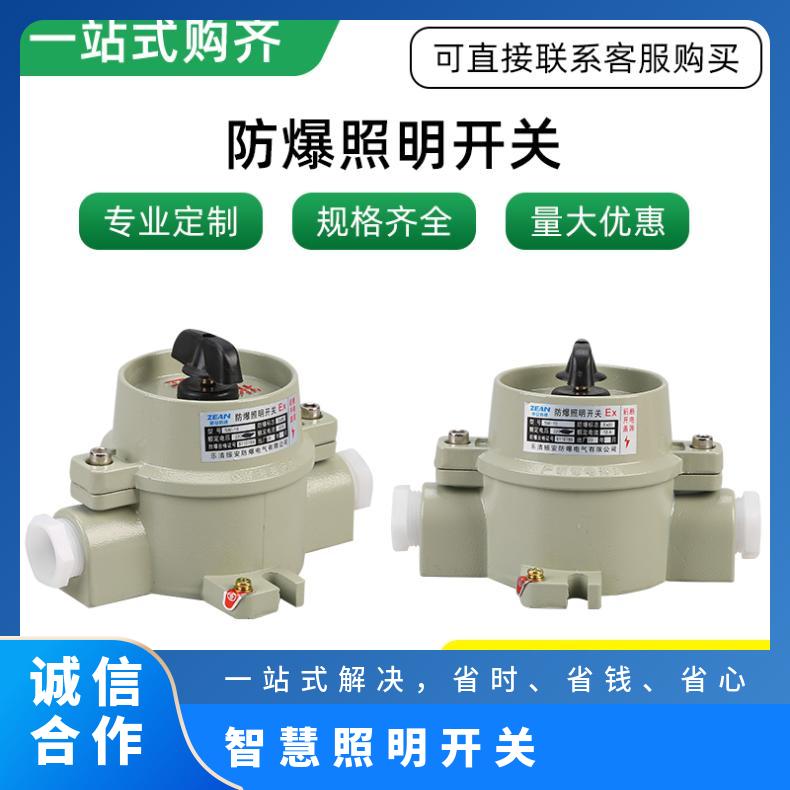 防爆照明开关SW-10 绝缘电压2200V 银色 酒店、宾馆会所 双极