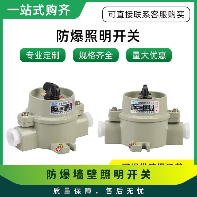 防护等级IP65 石油化工企业 壁挂 电流规格10A 防爆墙壁照明开关