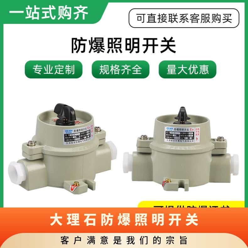 石防爆照明开关 防护等级IP65 按客户要求 温度组别T1-T6
