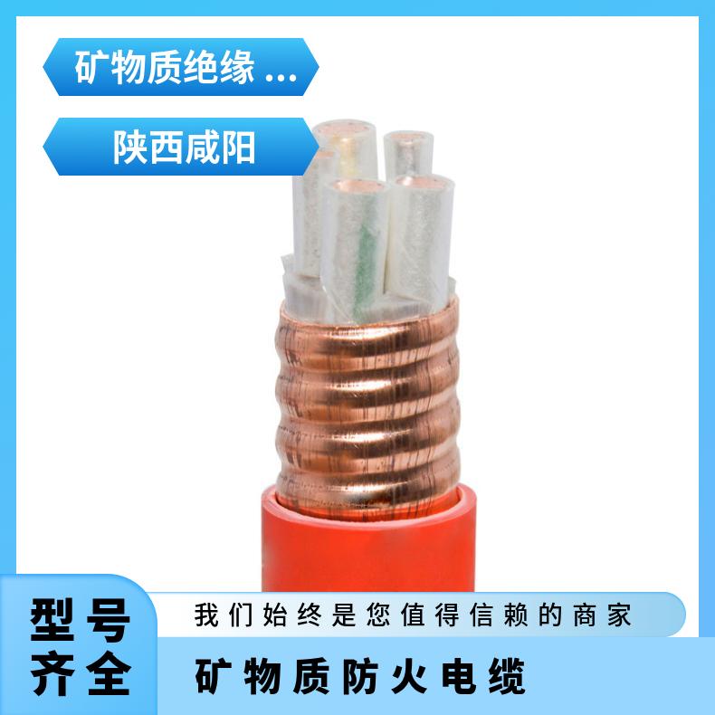 矿物质防火电缆BTTRZ/YTTWY铜芯电力国标3 4 5芯25 35 50平方线缆
