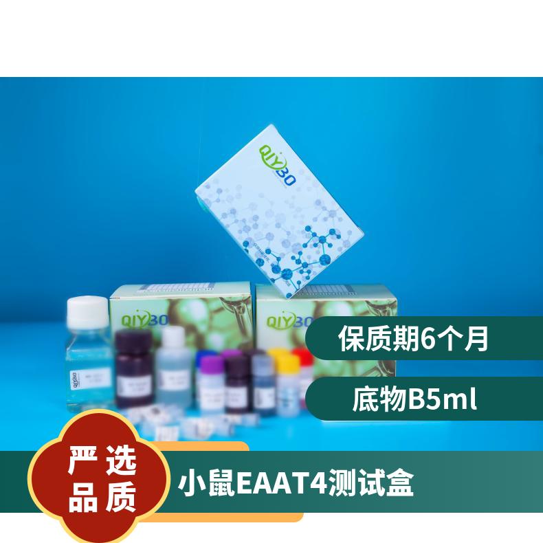 小鼠兴奋性氨基酸转运蛋白4(EAAT4)ELISA测试盒