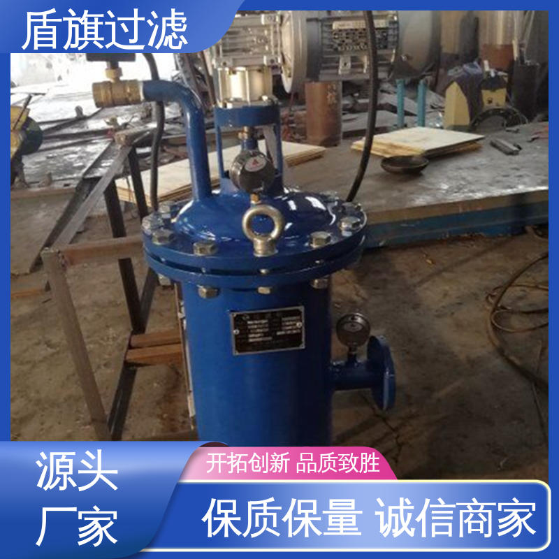 盾旗过滤 质量保证 卧式自清洗过滤器定制 自动程度高 品质致胜