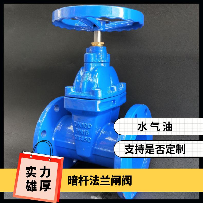 博雷阀门球墨铸铁 RVCX/Z45X暗杆软密封闸阀DN100 DN125 DN150 DN200
