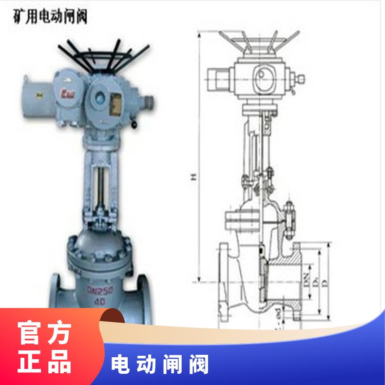 刀闸阀PZ973H-10C-DN250 WCB 电动执行器 矿用隔爆型