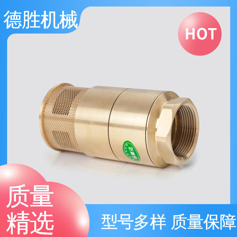 德胜 质量精选 规格齐全 阀体加厚 防止管路液体回流 铜双门底阀