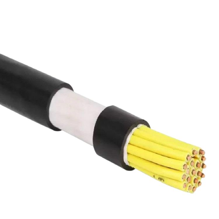DJYJPVP22 5*2*1.5mm2计算机电缆 DJYPVR22国标线