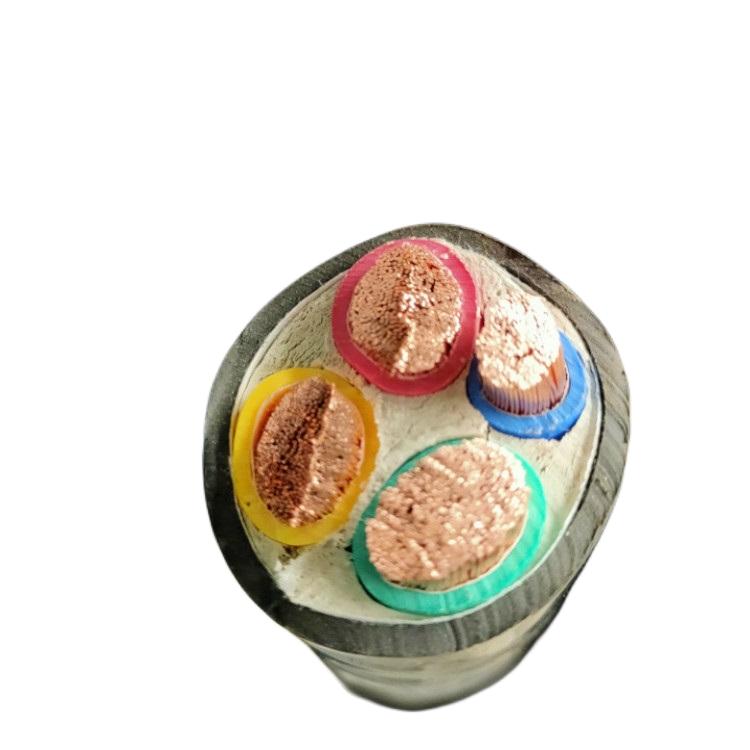 电子计算机用屏蔽电缆DJYP2VP2 PZY22-铁路信号线缆4芯