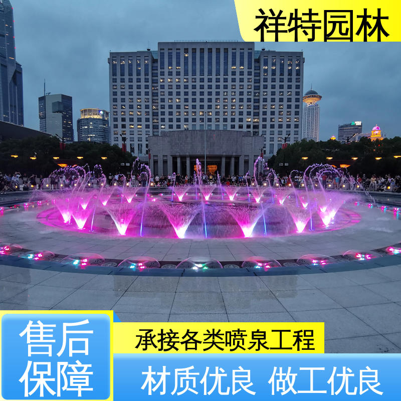 可调万向直射 适用于多种场景 水景涌泉 运行平稳 祥特园林