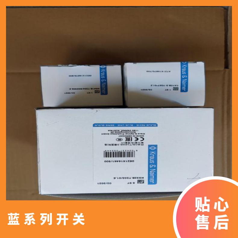 奥地利蓝系列KN开关DK12 DKB418 FT1-V+S0C G521 蓝倍专销