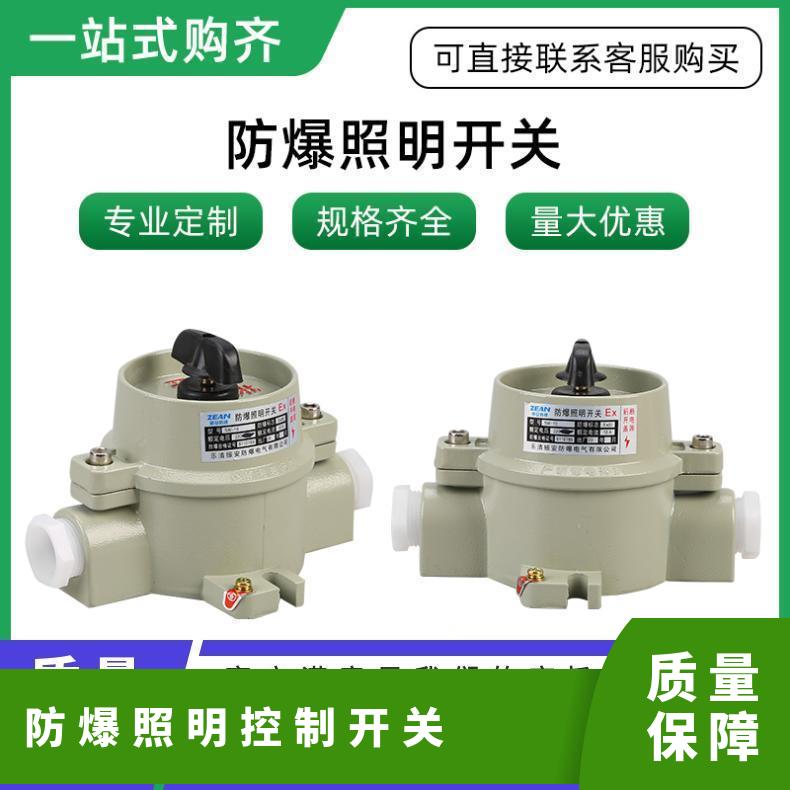 防爆配电箱照明控制箱动力箱检修插座箱开关电控柜接线盒定制