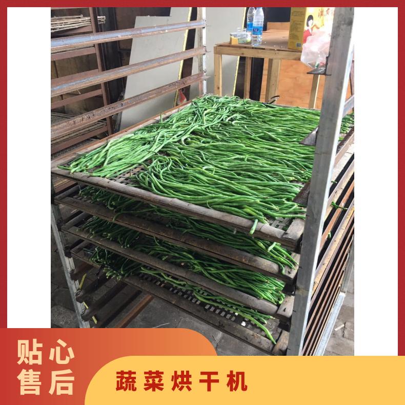 新款先进蔬菜烘干机 水果干燥设备 温度 湿度 时间可调 大小定制