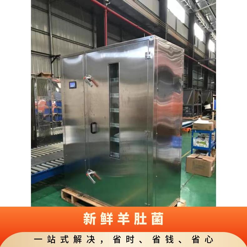 定做生物质颗粒食用菌烘干机 羊肚菌 香菇都可使用 自动控温排湿