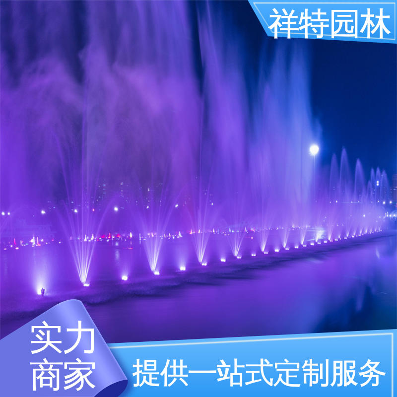 祥特园林 喷射高度可控 市政湖面喷水 经久耐用 喷泉加工厂家