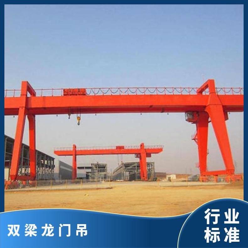 鲁新 20吨吊 3吨5吨电动双梁门式起重机可定制