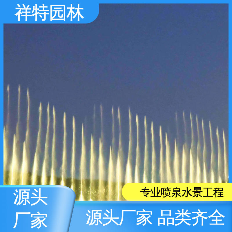 祥特园林 市政湖面喷水 运行平稳 水秀音乐喷泉 喷射方式独特