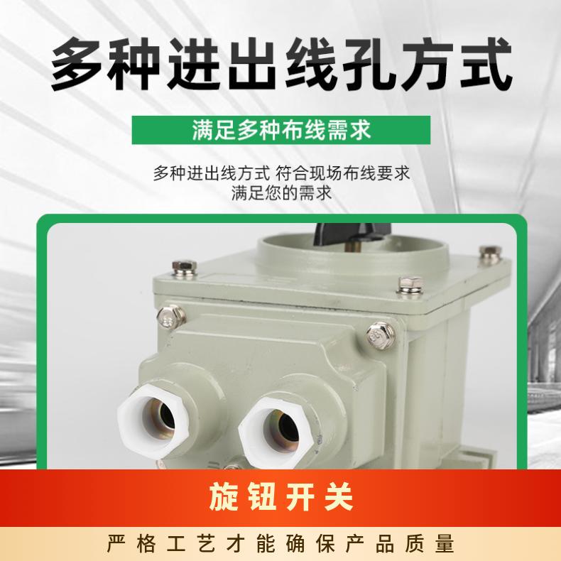 白色 II级 手动 远 重量1kg 矿用 铝合金防爆转换开关BHZ51-25A/3