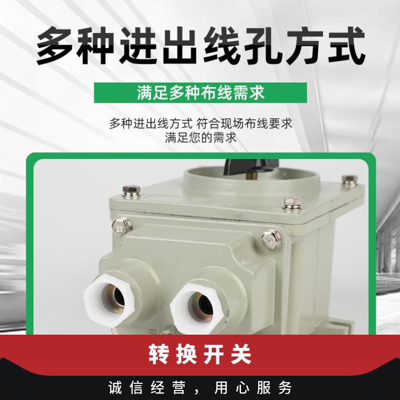 铝合金防爆转换开关BHZ51-60A/3 厂用 额定电压220/380V 型号BZA1