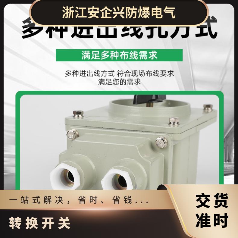 额定电压≤36KV 型号BZA1 厂用 铝合金防爆转换开关BHZ51-100A/3