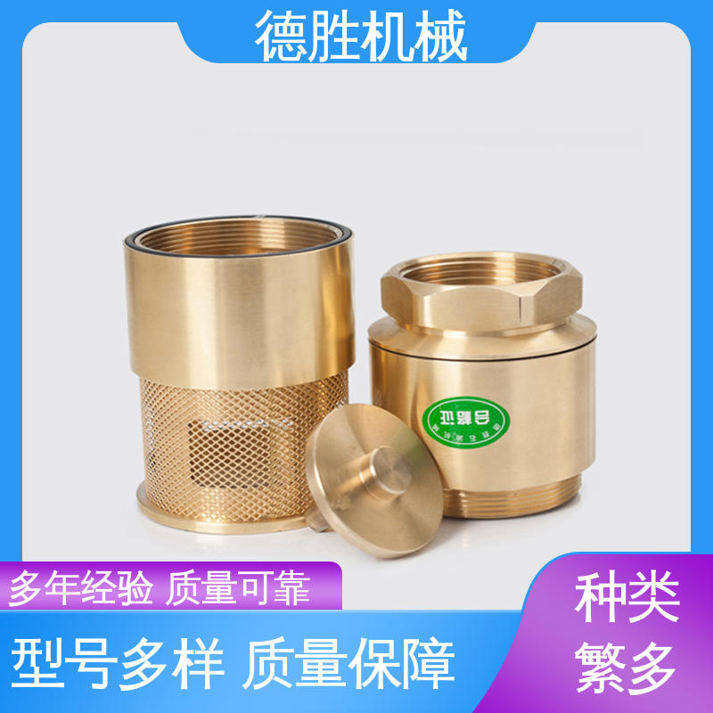 双门止回阀 铜过滤网 品种多样 保质保量 抗腐蚀性强 德胜