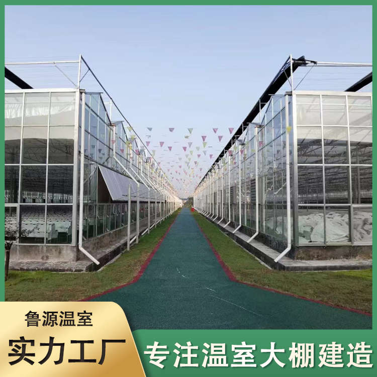 新型智能玻璃温室 观光展览 方便管理 轻钢结构 外形简洁美观