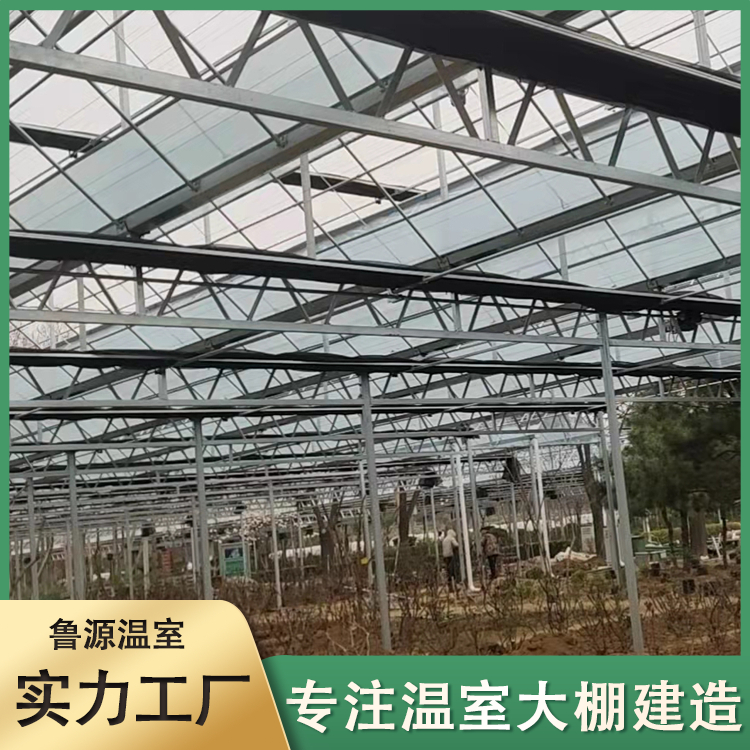 新型智能玻璃温室 观光展览 方便管理 轻钢结构 外形简洁美观