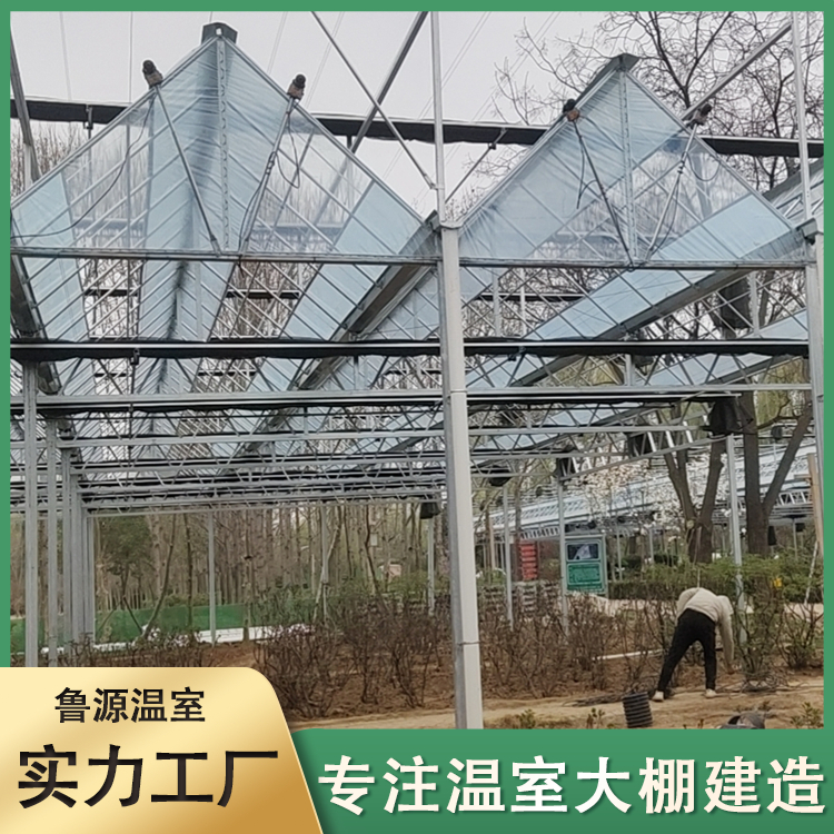 新型智能玻璃温室 观光展览 方便管理 轻钢结构 外形简洁美观