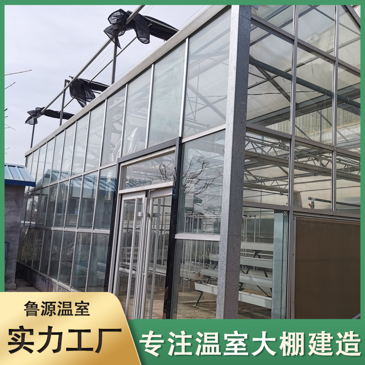 新型智能玻璃温室 观光展览 方便管理 轻钢结构 外形简洁美观