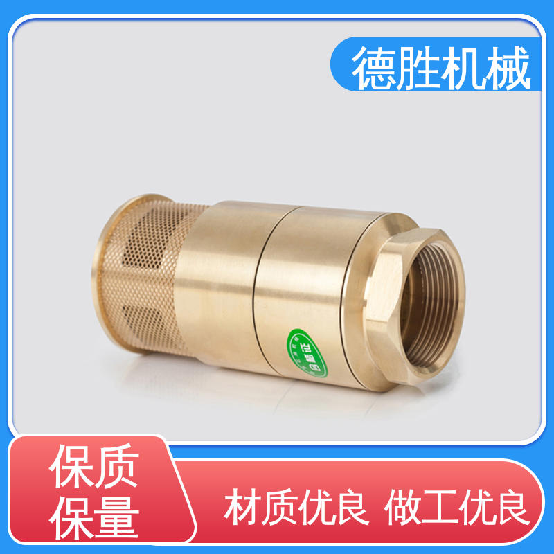 德胜 材质精选 售后维护 双门止回阀 铜过滤网 抗腐蚀性强