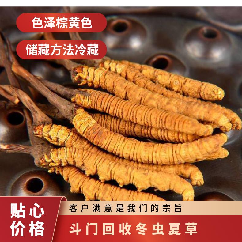 斗门回收冬虫夏草 棕黄色 炖肉 防蛀 散装礼盒装 长期 冷藏 否 克