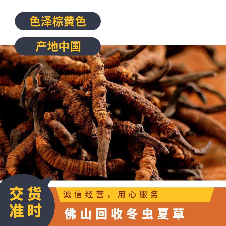 回收冬虫夏草 防蛀 上门验货 克 散装礼盒装 长期 冷藏 炖肉 否