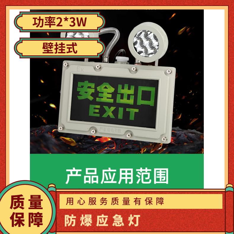 防爆双头应急灯2*3W 钢化玻璃 石油.化工消防冶炼粉尘