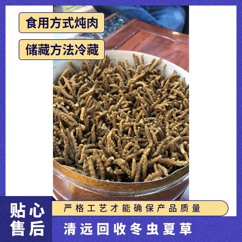 回收冬虫夏草 炖肉 冷藏 散装礼盒装 否 长期 二级 克 棕黄色 防蛀