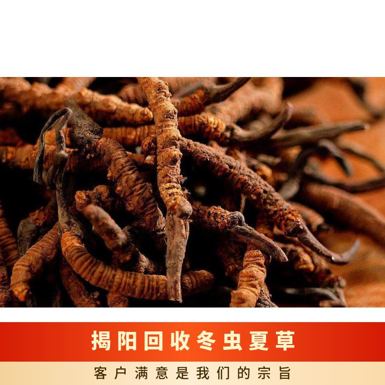回收冬虫夏草 棕黄色 散装礼盒装 冷藏 炖肉 否 现结 克 长期 防