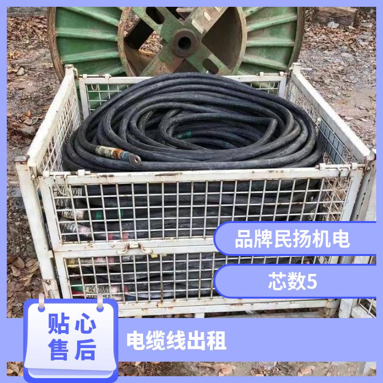 郴 州电缆线出租 电缆电线租赁 UPS电源 演出活动展会美食节长短期用