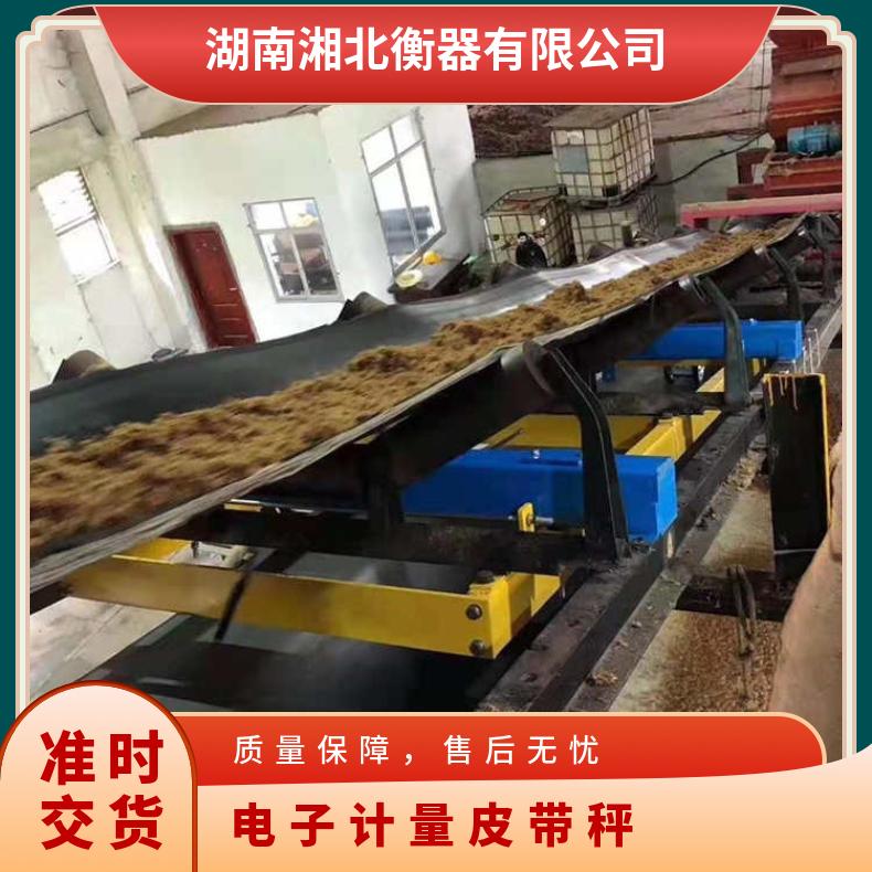 全悬浮电子皮带秤 矿用计量秤 电子计量皮带秤 变频调速电子秤