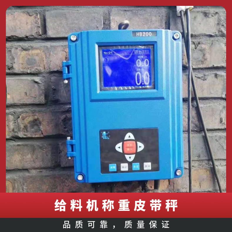 湘北衡器密封式皮带电子秤 配料秤 皮带倾角0-32度