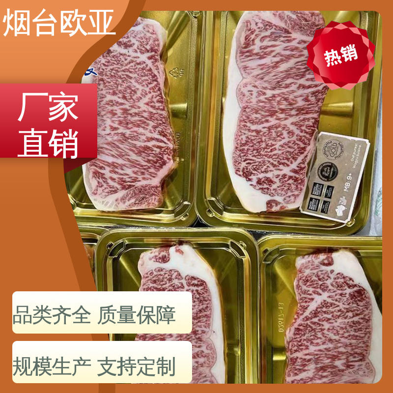 专业定制 源头工厂 烤肉托盒 自主研发 欧亚包装
