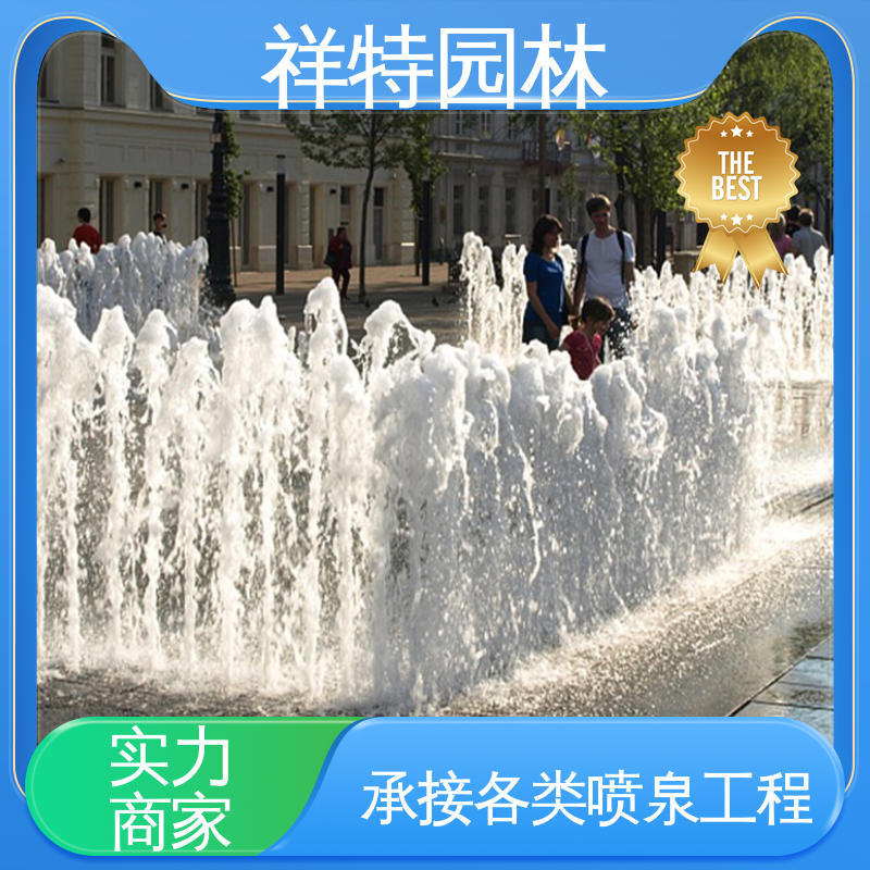 七彩灯光排列 程序电脑控制 多年经验 小型音乐喷泉 祥特园林