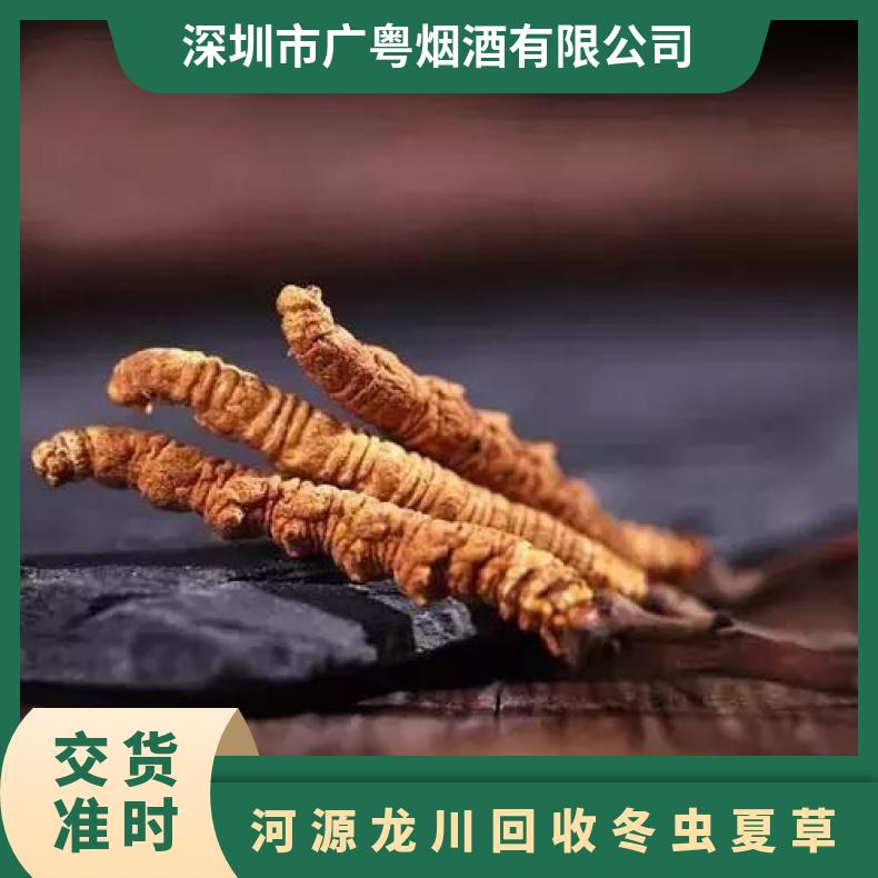 河源龙川回收冬虫夏草 紫金虫草回收商家 长期回收茅台洋酒鱼胶