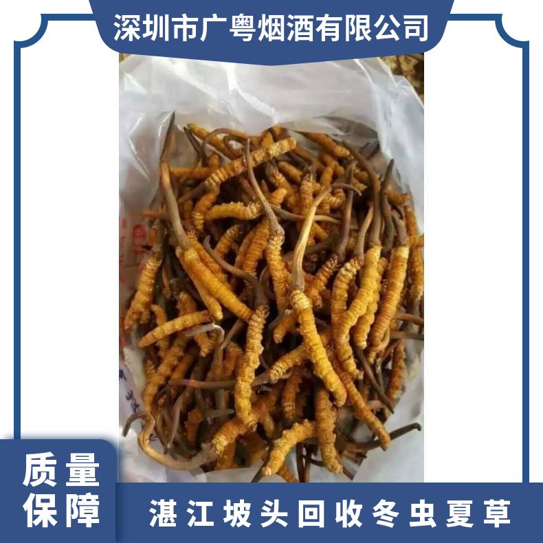 湛江坡头回收冬虫夏草 茅台酒回收 回收洋酒商家电话