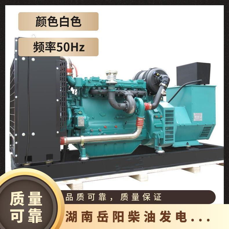湖 南省岳阳柴油发电机租赁出租 新 24小时供电 四冲程 送货上门 复励式