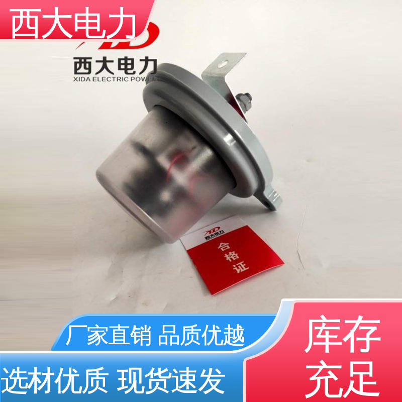 西大电力 避雷器在线监测器 JCQ-10/800型 型号和资质齐全