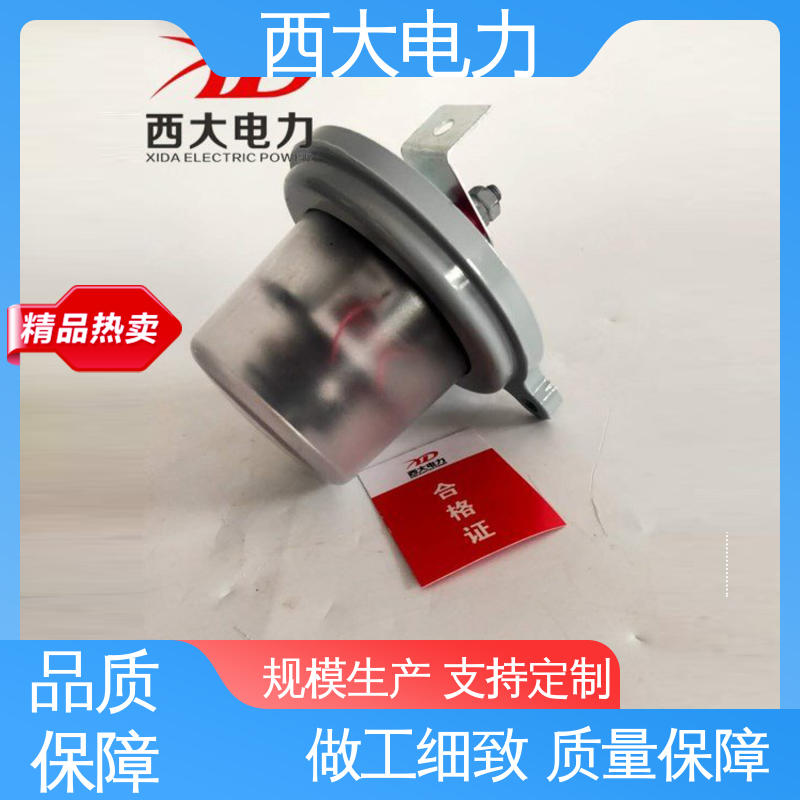 支持根据图纸定做 避雷器放电计数器 JCQ-10/800型 西大电力