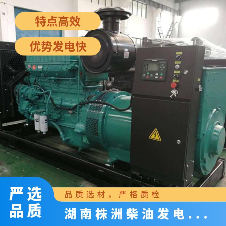 湖 南株洲柴油发电机出租租赁 3相 白色 电压380V 复励式 适用范围广